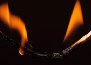 Жамбыл облысында 6 адам газдан уланды