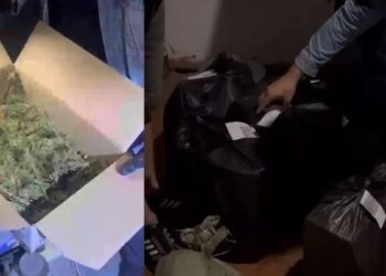 Ақмола облысында үйінде есірткі сақтаған шетелдік ұсталды