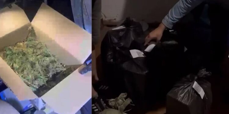 Ақмола облысында үйінде есірткі сақтаған шетелдік ұсталды