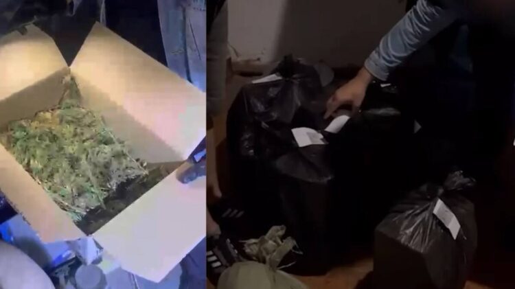 Ақмола облысында үйінде есірткі сақтаған шетелдік ұсталды