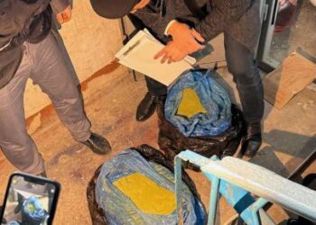 ҰҚК ірі есірткі тасымалын ұйымдастырғандарды ұстады