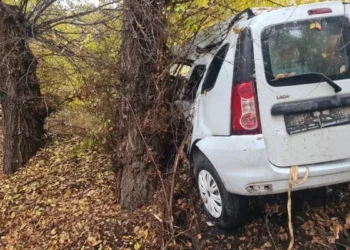 Алматы облысында көлік ағашқа соғылып, бір адам мерт болды