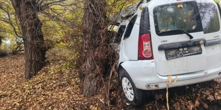 Алматы облысында көлік ағашқа соғылып, бір адам мерт болды