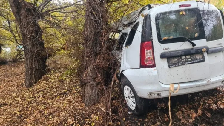 Алматы облысында көлік ағашқа соғылып, бір адам мерт болды
