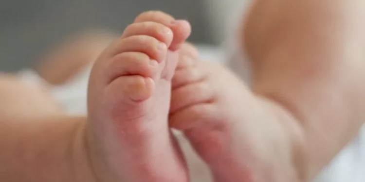 Үш жылда 14 нәресте пойызда өмірге келді