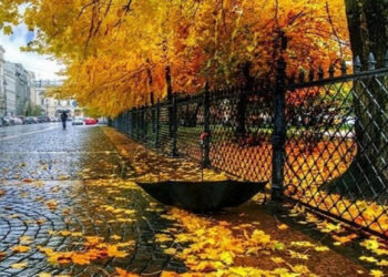 Алдағы демалыс күндері ауа райы қандай болады?