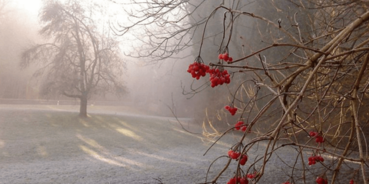 Қазгидромет: Тұман түсіп, көктайғақ болады