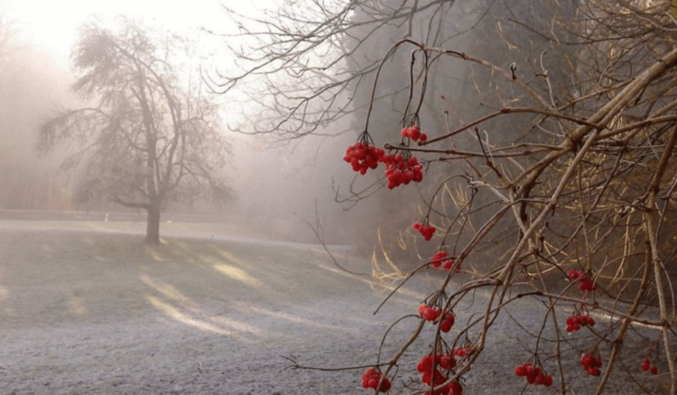 Қазгидромет: Тұман түсіп, көктайғақ болады
