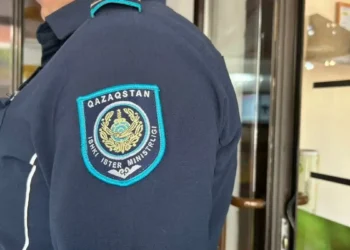 Домофонды кірпішпен сындырған тұрғын қамауға алынды