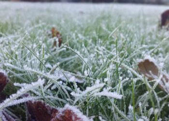 Еліміздің оңтүстік өңірлерінде үсік жүреді