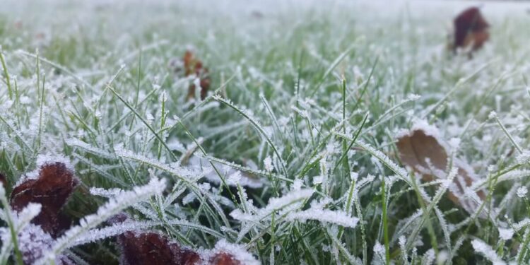 Еліміздің оңтүстік өңірлерінде үсік жүреді