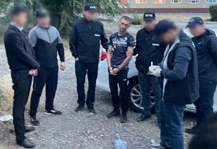 ҰҚК Жамбыл облысында есірткі топтарын ұстады