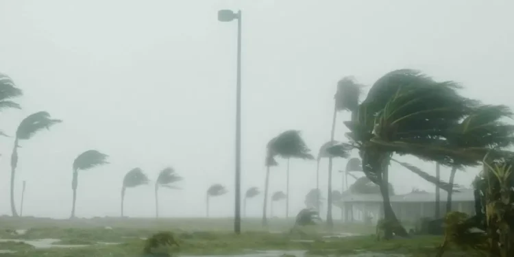 «Оскар» дауылы Кубаға жетті