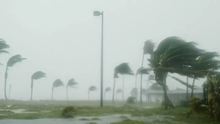 «Оскар» дауылы Кубаға жетті