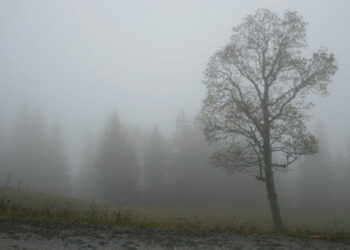 Ауа райына байланысты 12 облыста ескерту жарияланды