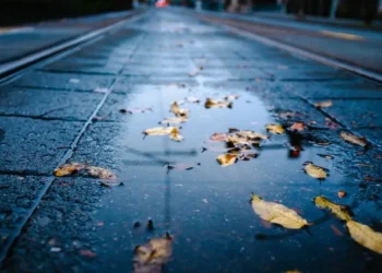 Еліміздің басым аумағында жел күшейіп, жаңбыр жауады