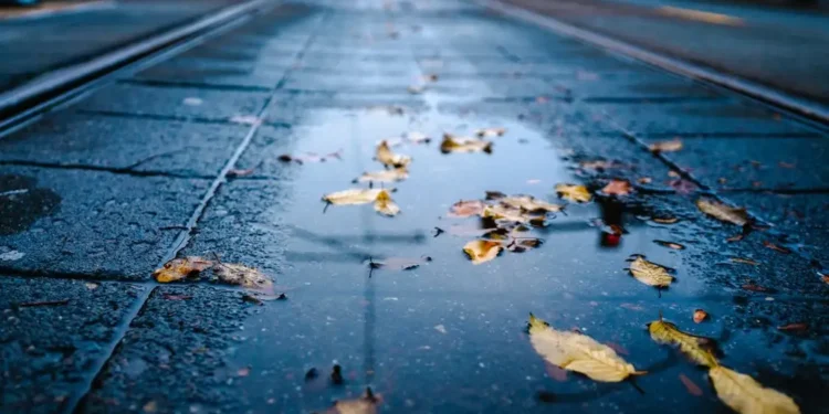 Еліміздің басым аумағында жел күшейіп, жаңбыр жауады