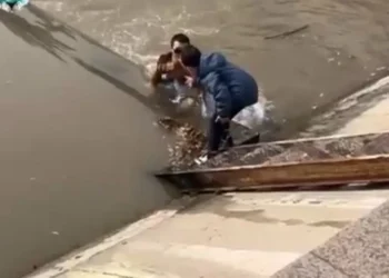 Алматыда ер адам өзенге құлаған баланы құтқарып қалды