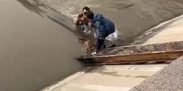 Алматыда ер адам өзенге құлаған баланы құтқарып қалды