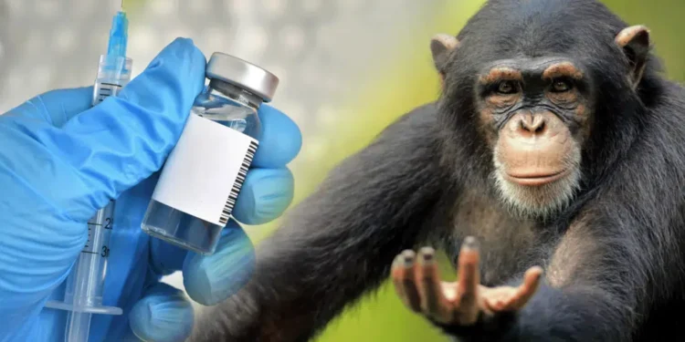 Маймыл шешегіне қарсы жаппай екпе салу басталды