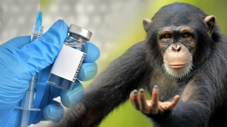 Маймыл шешегіне қарсы жаппай екпе салу басталды