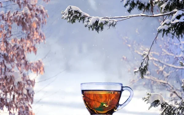 Снежные выходные ждут казахстанцев