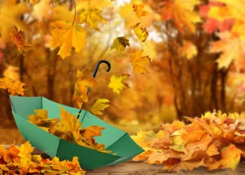 Сильный ветер и дождь: погода в Астане и Алматы на 3 дня