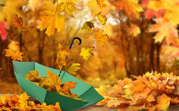 Сильный ветер и дождь: погода в Астане и Алматы на 3 дня