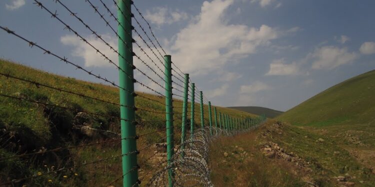 Шекарашылар қос азаматтығы бар 7 адамды ұстады