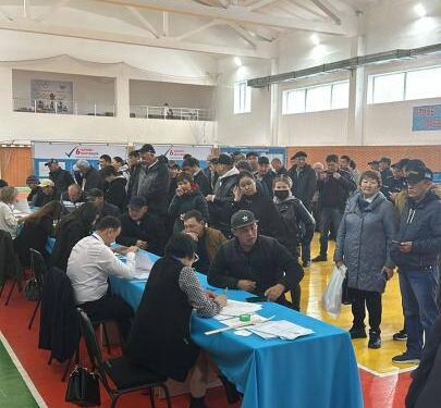 Халықаралық бақылаушылар: заң бұзушылық тіркелген жоқ