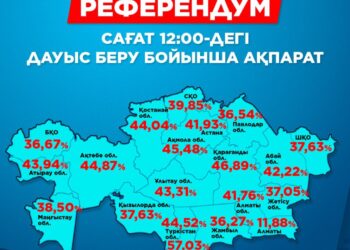 Референдумда дауыс бергендердің саны 4,8 млн адамға жетті