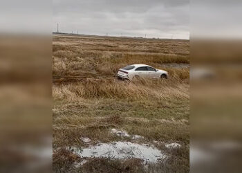 Машина съехала в кювет в СКО