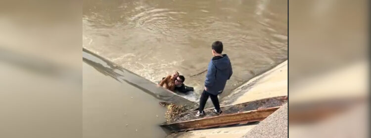 Мужчина бросился в воду и спас ребенка в Алматы