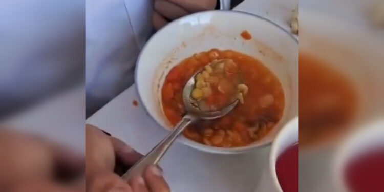 Черви в школьных обедах: акимат Алматинской области прокомментировал видео