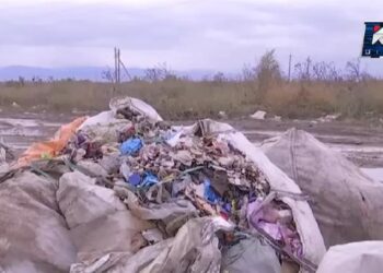 Вонь и мусор: кто ответственен за свалку на окраине Алматы