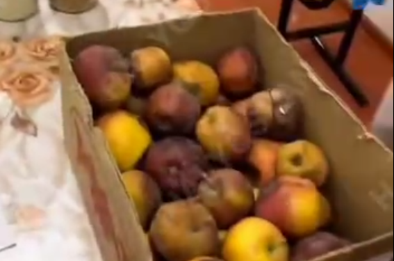 Протухшие яйца и гнилые яблоки: чем кормят детей в интернате Туркестанской области