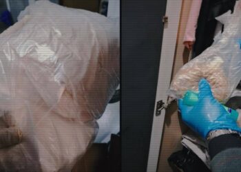 В Павлодарской области обнаружена подпольная лаборатория наркотиков