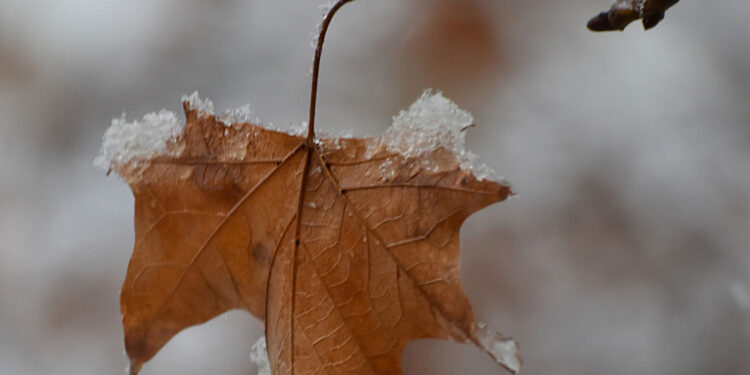 Прогноз погоды в Астане и Алматы на 3 дня