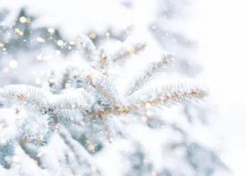 Биыл қыс қалай болады? — Синоптиктер болжамы