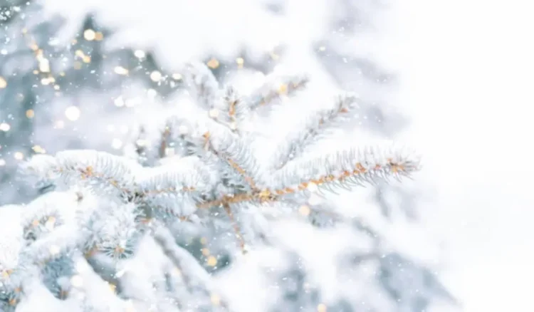 Биыл қыс қалай болады? — Синоптиктер болжамы