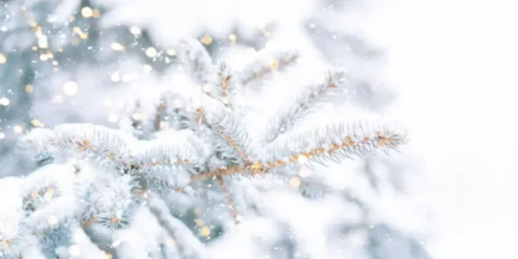 Бүгін елімізде ауа райы қандай болады?