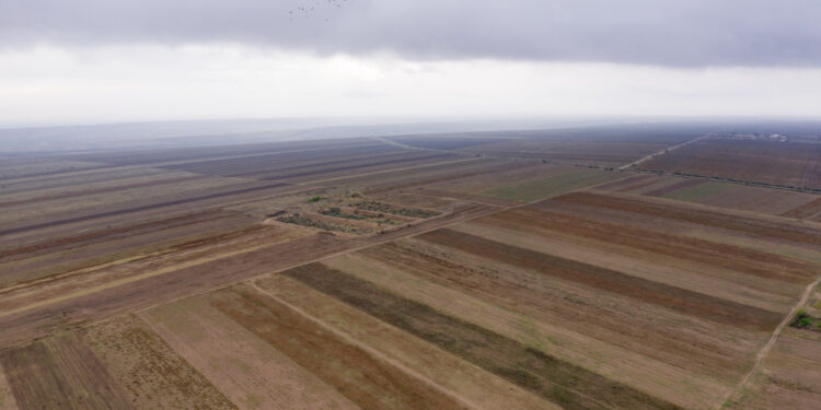 В Казахстане вернули в госсобственность 2 млн гектаров земель