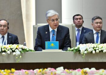 Саммит ОТГ: Токаев подчеркнул значение единства тюркского мира