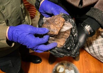 Крупная нарколаборатория разоблачена в Алматинской области