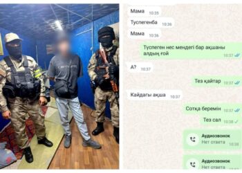 Как мошенники в WhatsApp выманивали миллионы, представляясь детьми