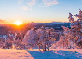Прогноз погоды на 13 декабря: осадки и сильный ветер на севере и западе Казахстана