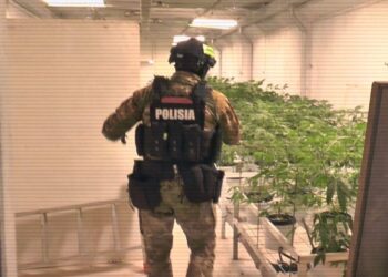 МВД Казахстана отчиталось о борьбе с наркопреступностью