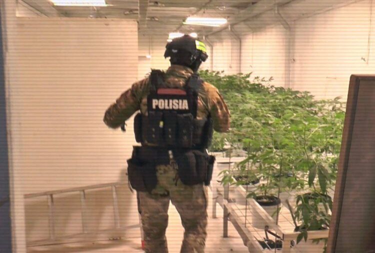 МВД Казахстана отчиталось о борьбе с наркопреступностью