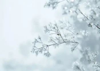 Ауа райы: Тұман түсіп, жел күшейеді