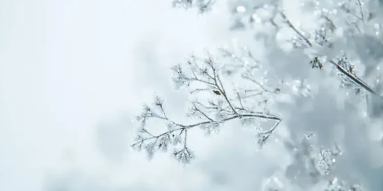 Ауа райы: Тұман түсіп, жел күшейеді